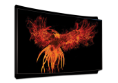 Phoenix Phoenix